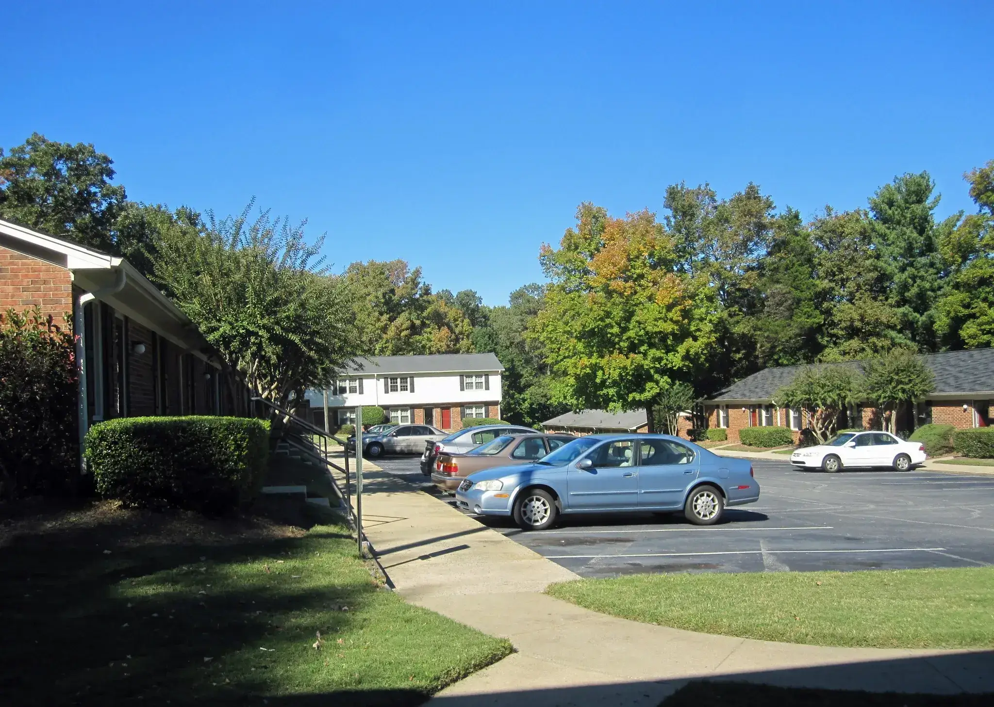 Parkview Terrace - Bushes and parked cars